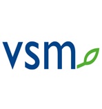 VSM VSM